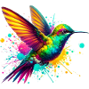 Colibri