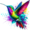 Colibri