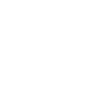 Socket icon line