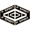 FIGHTING SPIRIT