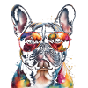French Bulldog Sunglasses Frenchie Dog