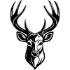 DEER HEAD