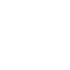 Bachelor Levin