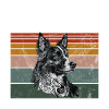 Border Collie Gifts