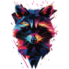 Raccoon