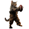 Katze