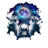Chat Birman Lune Hurlante