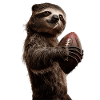Sloth