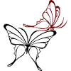 Butterflies