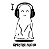 SPECTRE AUDIO ! (musique, fantôme)