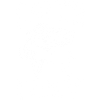 Prise du jour Pêche