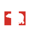Bears