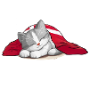 HYGGELIG - HYGGE - Gris chat -w