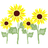 Sonnenblumenstrauß Gelb Kolorit