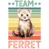 Furet