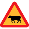 Street sign Attention Cow