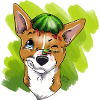 DogMelon