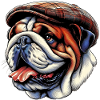 Bouledogue anglais Chien