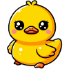Duckling Duck Duck Duck