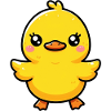 Duckling Duck Duck Duck