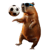 Capybara