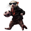 Ferret