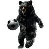 Black bear
