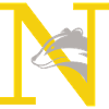 letter N