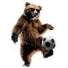Grizzly bear