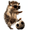 Igel