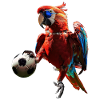 Parrot