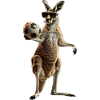 Kangaroo