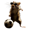 Rat