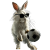 Rabbit