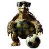 Turtle
