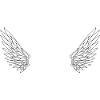 Number 43 Angel - 43rd Birthday Wings