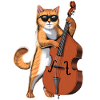 Cat Double Bass Player