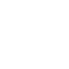 Ant