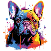 Cute French Bulldog
