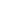 Cygne volant élégant