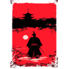 Samurai in the moonlight