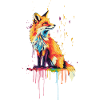 Red fox