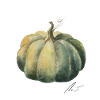 Harvest Moon Pumpkin
