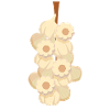 Garlic Costume Vegetables