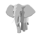 Shadow Play Shadow Elephant