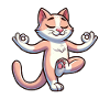 Cat Yoga Meditation Meditation Balancing