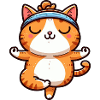 Cat Yoga Meditation Meditation Balancing