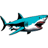 Shark