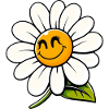 Daisy