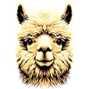 Alpaca